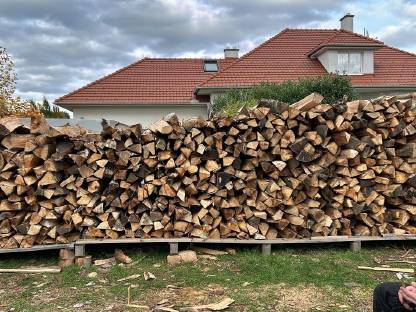 Bild 3:Holzschlägerung, Durchforstung, Windbruch
