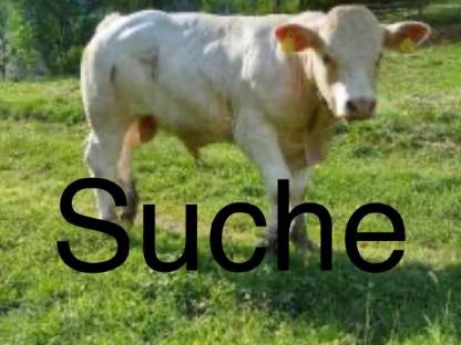 Suche bio Einsteller