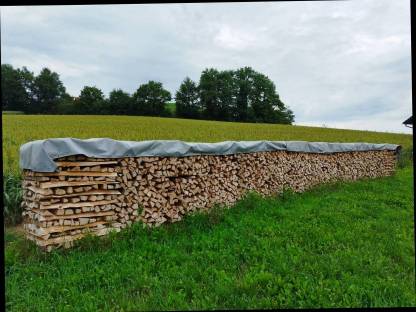 Buchenholz