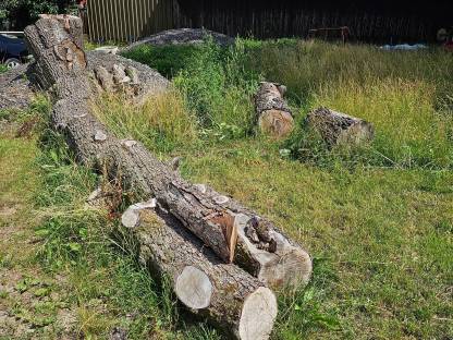 Brennholz Birnenstamm Tischler