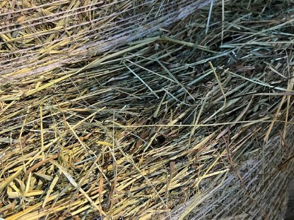 Bild 4:Heu Rundballen 1. Schnitt 2025