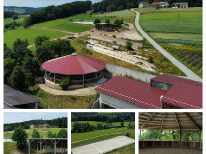 Pferde-Einstellplätze frei, 12 km von Linz, Urfahr-Umgebung