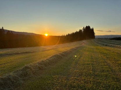 Bild 4:Verkaufe Bio-Pferdeheu 2025 - 1. Schnitt