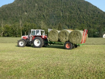 Bild 6:Rungenwagen für Holz oder Ballen
