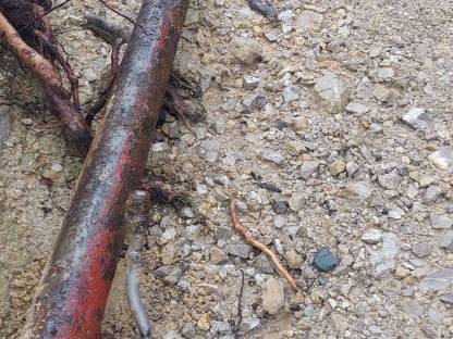 Bild 5:2 Stk Mistbahnzylinder!