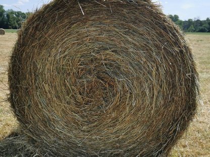 Bild 5:22x Rundballen Heu Pferdeheu 1,20 m