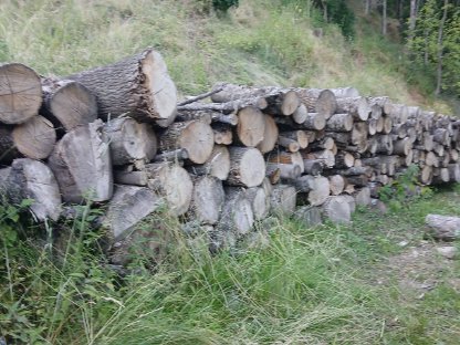 Brennholz
