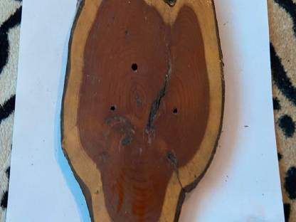 Rehbrett,eibe,brettchen , rehbock .geweih ,trophäen,jagd
