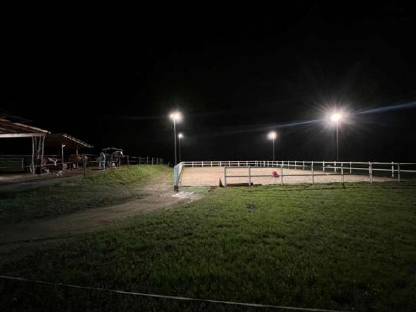 Bild 6:Einstellplätze für Pferde