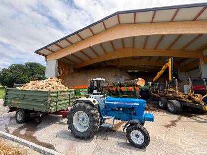 Bild 3:Buchen-Eschen Brennholz