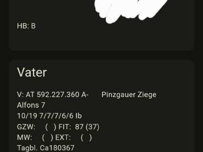 Bild 7:Pinzgauer Ziegen