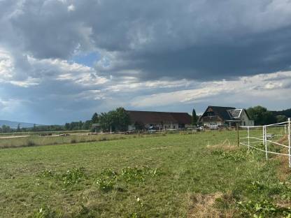 Bild 8:Einstellplatz in Offenstallhaltung