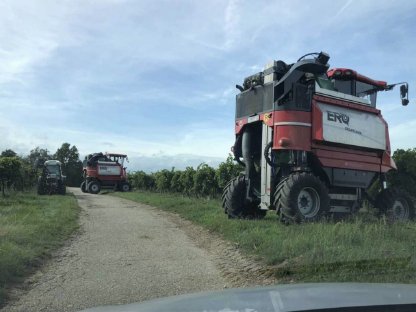 Suche Traktorfahrer/in für Weinlese