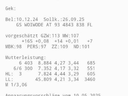 2 trächtige Fleckvieh Biokalbinnen
