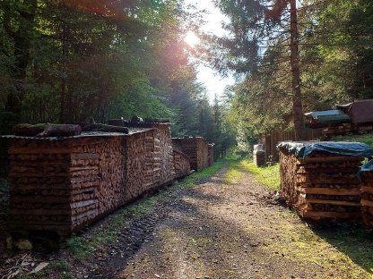 Bild 5:Verkaufe trockenes Brennholz weich und hart