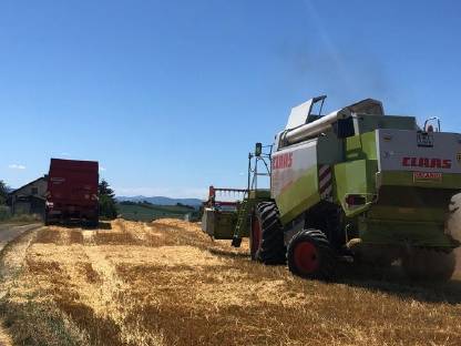 Bild 2:Lohndrusch mit 6 Schüttler Claas Lexion