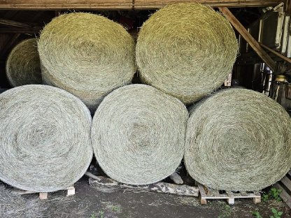 Bild 2:Verkaufe Heu vom 1. Schnitt 2025
