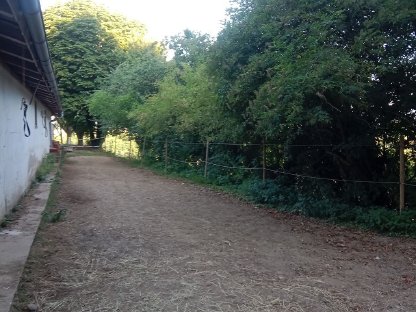 Bild 4:Einstellplatz Pferd