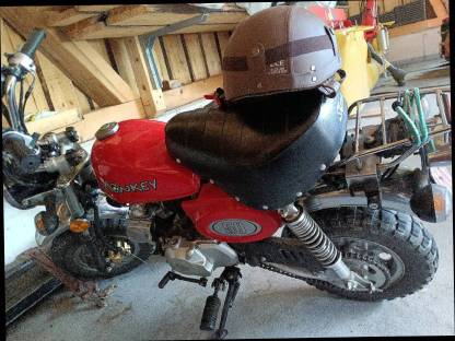 Moped Monkey