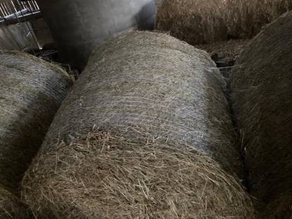 Bild 7:Heu Rundballen 1. und 2. Schnitt 2024