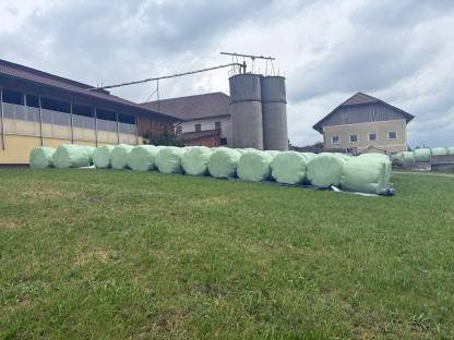 Silageballen