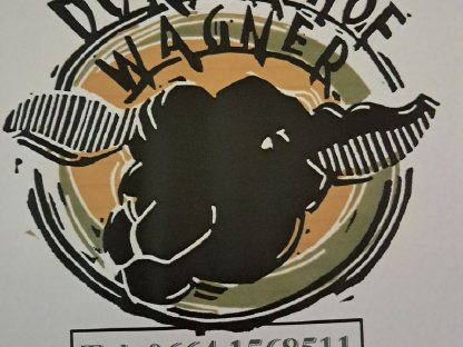 Bild 2:Dorper Zuchtbock