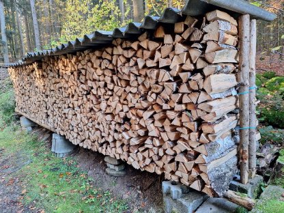 Brennholz - Buche - trocken