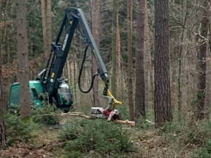 Bild 5:Neuson 204 HVT