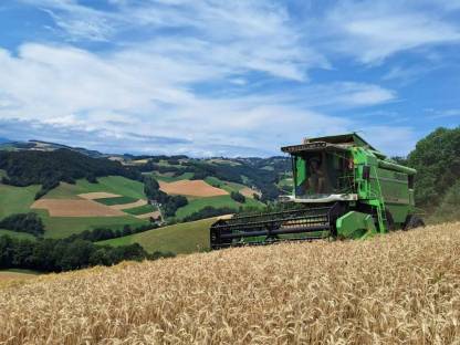 Biete Lohndrusch mit Deutz-Fahr Mähdrescher