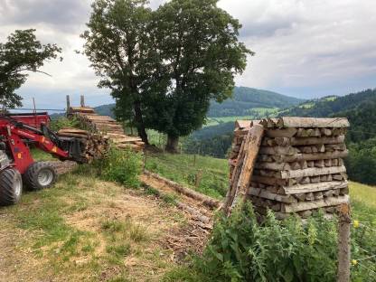 Verk. trockenes Brennholz