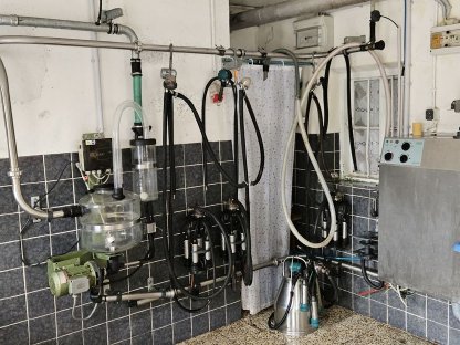 Rohrmelkanlage und Milchtank
