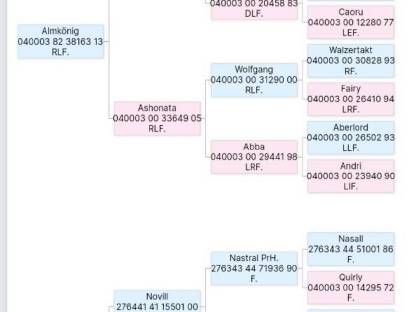 Bild 6:Haflinger Hengstfohlen