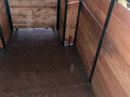 Bild 3:Viehanhänger