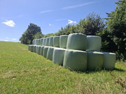 Heulage 1. Schnitt 2025
