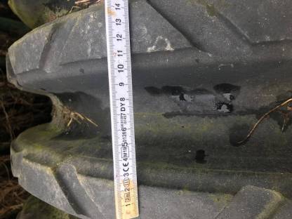 Bild 4:Keilringwalze Vogel und Noot