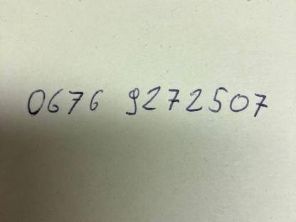 Bild 2:Mangalitza Schwein