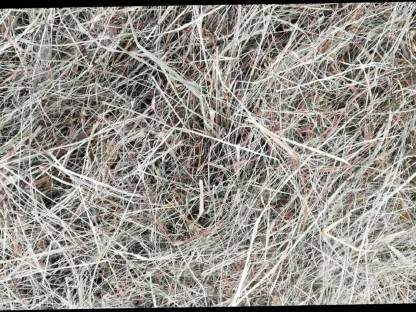 Bild 2:Qualitätsheu 1. Schnitt Pferdeheu unverregnet