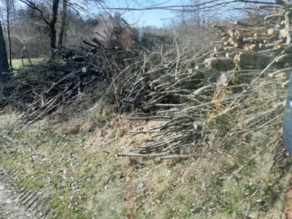 Bild 2:Holz zum Verhacken