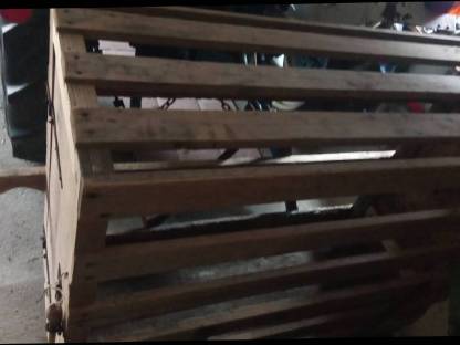 Bild 5:Saustaing Transport Box Junggesellenabschied