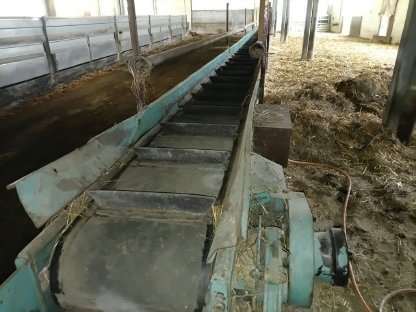 Futterförderband für Schafe, Ziegen, Kleinwiederkäuer