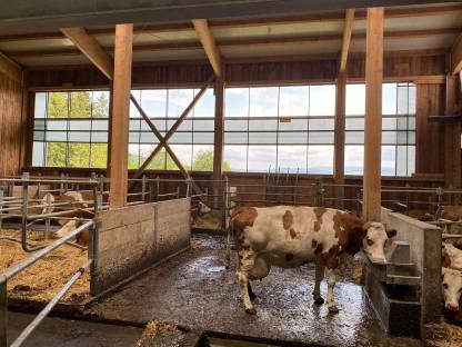 Bild 3:Burgenland und Niederösterreich Windschutz, Tore
