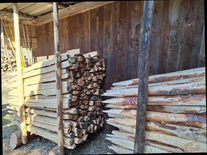 Bild 2:Lärchenstipfel, Stempel, Pflöcke