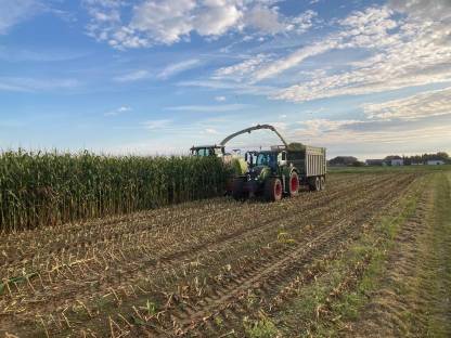 Bild 2:Silomais 4 ha