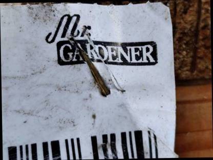 Bild 7:Sichtschutzpaneel 'Bali' Lärche von Mr. Gardener