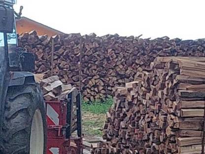 Bild 2:Brennholz