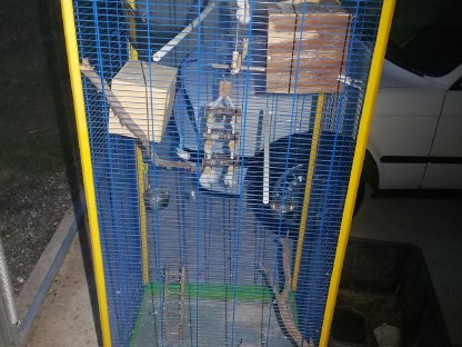 Große Voliere, Vogelkäfig mit Zubehör
