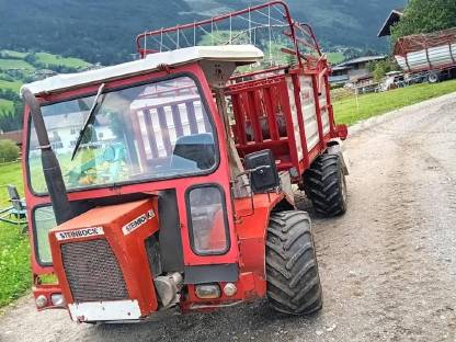 Verkaufe Steinbock Transporter