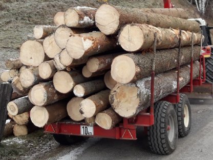 Bild 2:Rungenwagen, Rückewagen, Forstanhänger