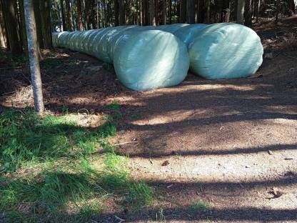Bio Siloballen