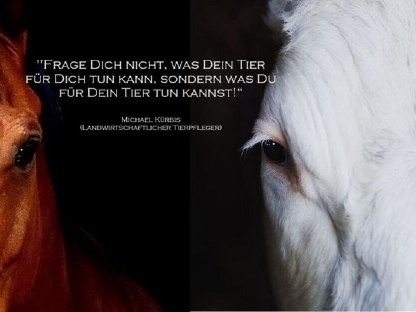 Suche Mitarbeit in Milchvieh- oder Pferdebetrieb